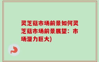 灵芝菇市场前景如何灵芝菇市场前景展望：市场潜力巨大)