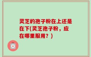 灵芝的孢子粉在上还是在下(灵芝孢子粉，应在哪里服用？)