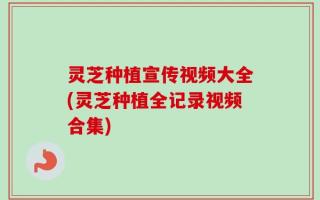 灵芝种植宣传视频大全(灵芝种植全记录视频合集)