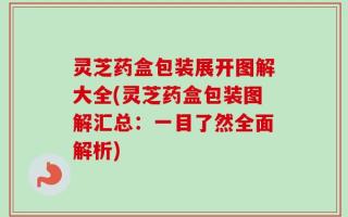 灵芝药盒包装展开图解大全(灵芝药盒包装图解汇总：一目了然全面解析)