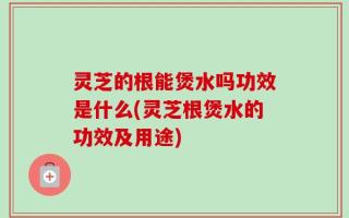灵芝的根能煲水吗功效是什么(灵芝根煲水的功效及用途)