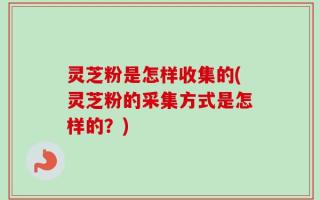 灵芝粉是怎样收集的(灵芝粉的采集方式是怎样的？)