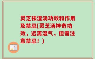 灵芝祛湿汤功效和作用及禁忌(灵芝汤神奇功效，远离湿气，但需注意禁忌！)
