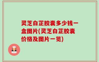 灵芝白芷胶囊多少钱一盒图片(灵芝白芷胶囊价格及图片一览)