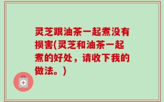 灵芝跟油茶一起煮没有损害(灵芝和油茶一起煮的好处，请收下我的做法。)