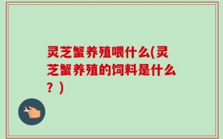 灵芝蟹养殖喂什么(灵芝蟹养殖的饲料是什么？)