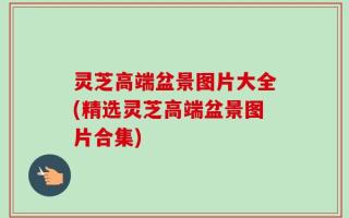 灵芝高端盆景图片大全(精选灵芝高端盆景图片合集)