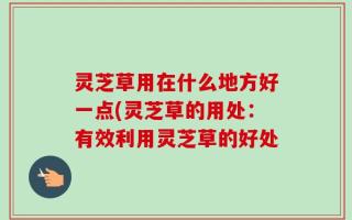 灵芝草用在什么地方好一点(灵芝草的用处：有效利用灵芝草的好处
