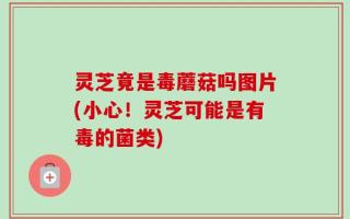 灵芝竟是毒蘑菇吗图片(小心！灵芝可能是有毒的菌类)