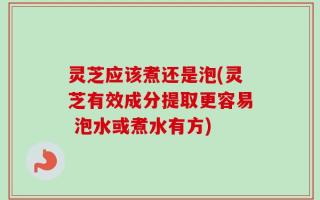 灵芝应该煮还是泡(灵芝有效成分提取更容易 泡水或煮水有方)