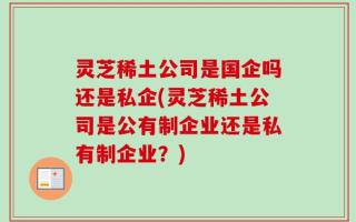 灵芝稀土公司是国企吗还是私企(灵芝稀土公司是公有制企业还是私有制企业？)