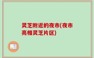 灵芝附近的夜市(夜市亮相灵芝片区)