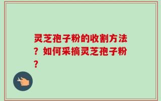 灵芝孢子粉的收割方法？如何采摘灵芝孢子粉？