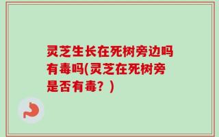 灵芝生长在死树旁边吗有毒吗(灵芝在死树旁是否有毒？)