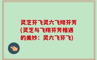 灵芝芬飞灵六飞翔芬芳(灵芝与飞翔芬芳相遇的美妙：灵六飞芬飞)