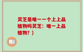 灵芝是唯一一个上上品植物吗灵芝：唯一上品植物？)