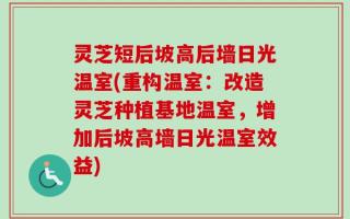 灵芝短后坡高后墙日光温室(重构温室：改造灵芝种植基地温室，增加后坡高墙日光温室效益)