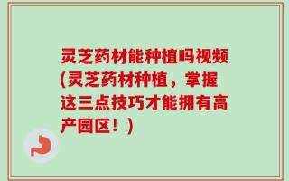 灵芝药材能种植吗视频(灵芝药材种植，掌握这三点技巧才能拥有高产园区！)