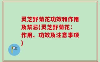 灵芝野菊花功效和作用及禁忌(灵芝野菊花：作用、功效及注意事项)