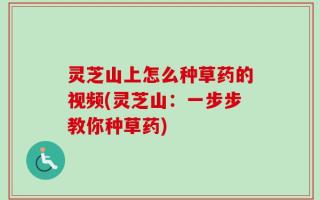 灵芝山上怎么种草药的视频(灵芝山：一步步教你种草药)