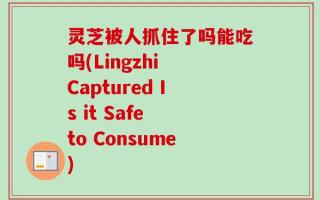 灵芝被人抓住了吗能吃吗(Lingzhi Captured Is it Safe to Consume)