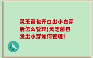 灵芝菌包开口出小白芽后怎么管理(灵芝菌包发出小芽如何管理？