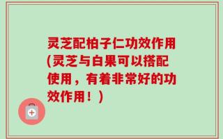 灵芝配柏子仁功效作用(灵芝与白果可以搭配使用，有着非常好的功效作用！)