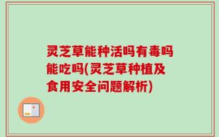 灵芝草能种活吗有毒吗能吃吗(灵芝草种植及食用安全问题解析)