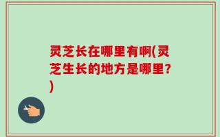 灵芝长在哪里有啊(灵芝生长的地方是哪里？)
