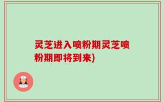 灵芝进入喷粉期灵芝喷粉期即将到来)