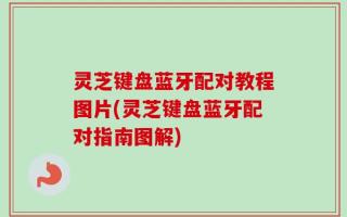 灵芝键盘蓝牙配对教程图片(灵芝键盘蓝牙配对指南图解)