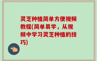 灵芝种植简单方便视频教程(简单易学，从视频中学习灵芝种植的技巧)