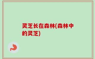 灵芝长在森林(森林中的灵芝)