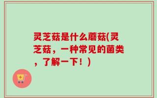 灵芝菇是什么蘑菇(灵芝菇，一种常见的菌类，了解一下！)