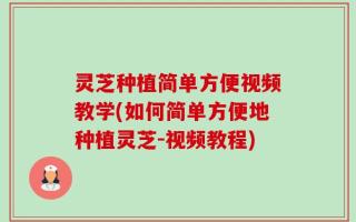 灵芝种植简单方便视频教学(如何简单方便地种植灵芝-视频教程)