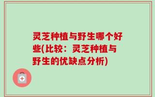 灵芝种植与野生哪个好些(比较：灵芝种植与野生的优缺点分析)