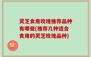 灵芝食用玫瑰推荐品种有哪些(推荐几种适合食用的灵芝玫瑰品种)