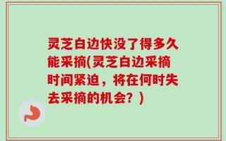 灵芝白边快没了得多久能采摘(灵芝白边采摘时间紧迫，将在何时失去采摘的机会？)