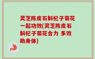 灵芝陈皮石斛杞子菊花一起功效(灵芝陈皮石斛杞子菊花合力 多效助身体)