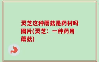 灵芝这种蘑菇是药材吗图片(灵芝：一种药用蘑菇)