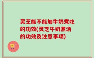 灵芝能不能加牛奶煮吃的功效(灵芝牛奶煮汤的功效及注意事项)