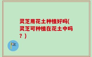 灵芝用花土种植好吗(灵芝可种植在花土中吗？)
