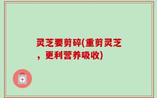 灵芝要剪碎(重剪灵芝，更利营养吸收)