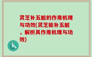 灵芝补五脏的作用机理与功效(灵芝能补五脏，解析其作用机理与功效)