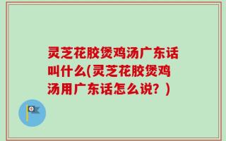 灵芝花胶煲鸡汤广东话叫什么(灵芝花胶煲鸡汤用广东话怎么说？)