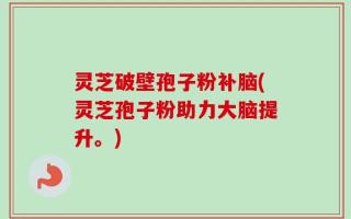 灵芝破壁孢子粉补脑(灵芝孢子粉助力大脑提升。)
