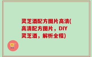 灵芝酒配方图片高清(高清配方图片，DIY灵芝酒，解析全程)