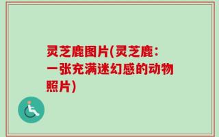 灵芝鹿图片(灵芝鹿：一张充满迷幻感的动物照片)