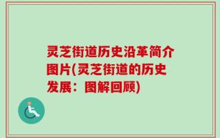 灵芝街道历史沿革简介图片(灵芝街道的历史发展：图解回顾)