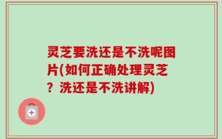灵芝要洗还是不洗呢图片(如何正确处理灵芝？洗还是不洗讲解)